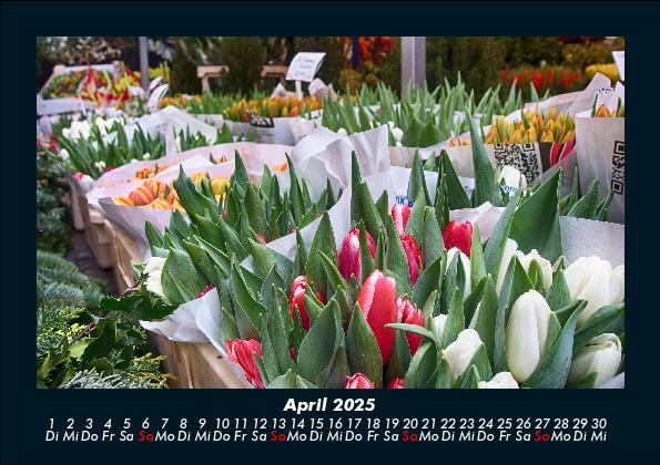 Weitere Ansicht: Blumenkalender 2025 Fotokalender DIN A5 | Tobias Becker