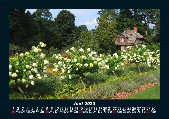 Weitere Ansicht: Blumenkalender 2025 Fotokalender DIN A5 | Tobias Becker