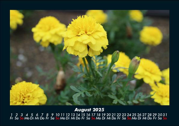 Weitere Ansicht: Blumenkalender 2025 Fotokalender DIN A5 | Tobias Becker