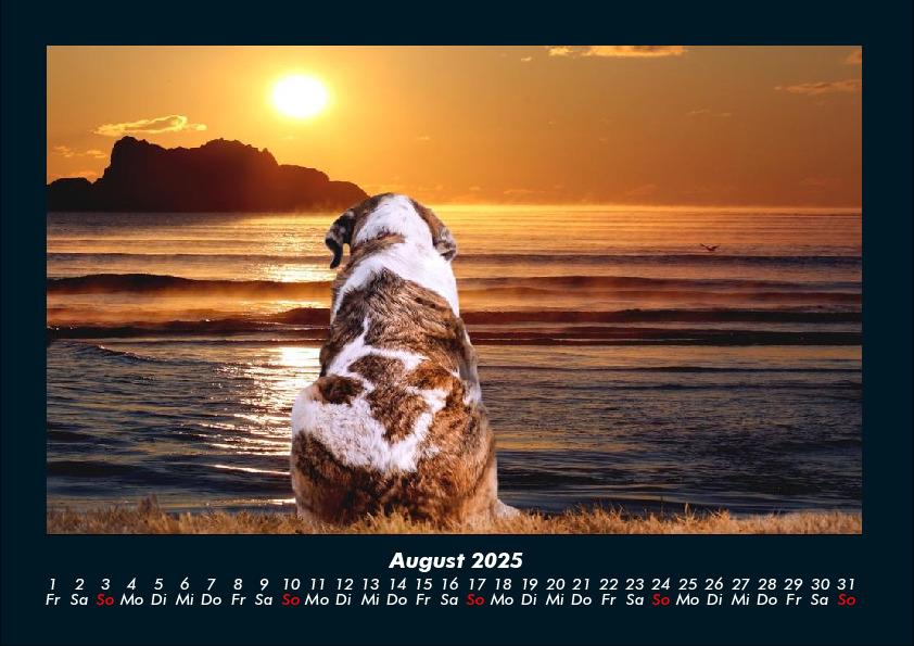 Weitere Ansicht: Sonnenuntergänge 2025 Fotokalender DIN A4 | Tobias Becker