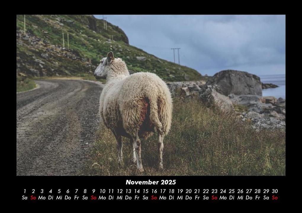 Weitere Ansicht: Der Tierkalender 2025 Fotokalender DIN A3 | Tobias Becker