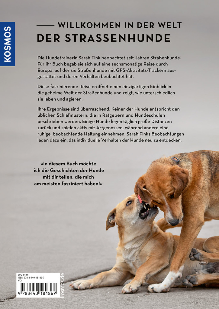 Weitere Ansicht: Die geheime Welt der Straßenhunde | Sarah Fink
