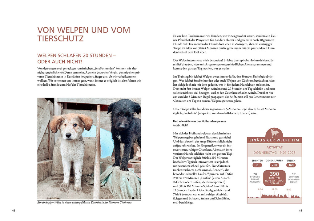 Weitere Ansicht: Die geheime Welt der Straßenhunde | Sarah Fink