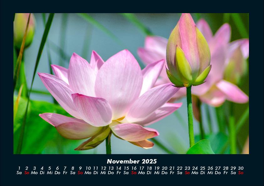 Weitere Ansicht: Blumenzauber 2025 Fotokalender DIN A4 | Tobias Becker