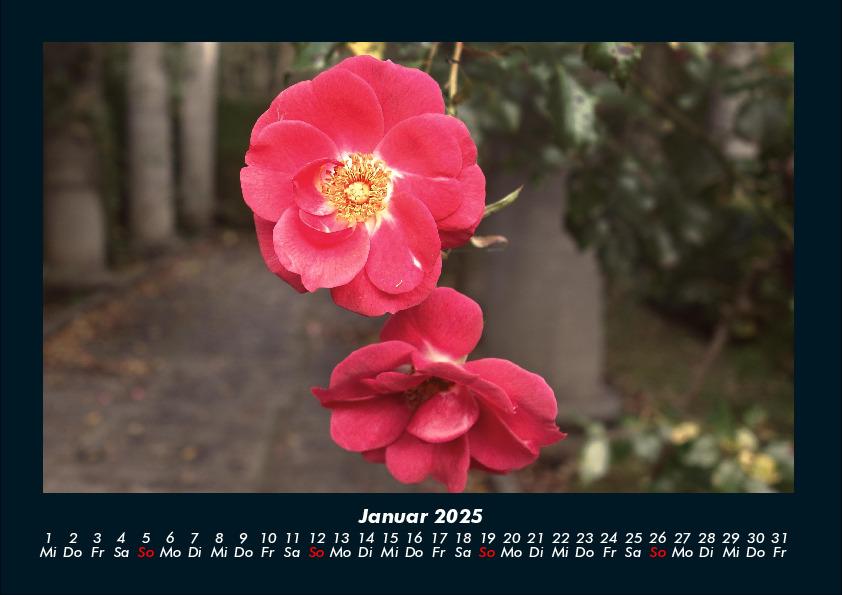 Weitere Ansicht: Blumenzauber 2025 Fotokalender DIN A4 | Tobias Becker
