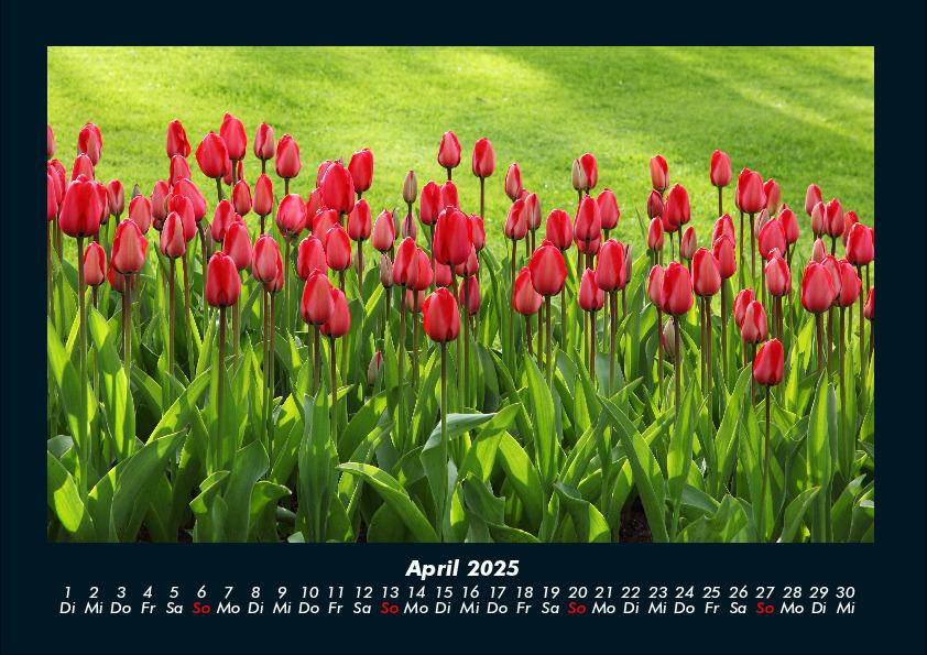 Weitere Ansicht: Blumenzauber 2025 Fotokalender DIN A4 | Tobias Becker
