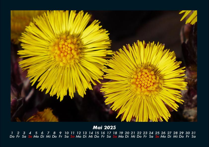 Weitere Ansicht: Blumenzauber 2025 Fotokalender DIN A4 | Tobias Becker