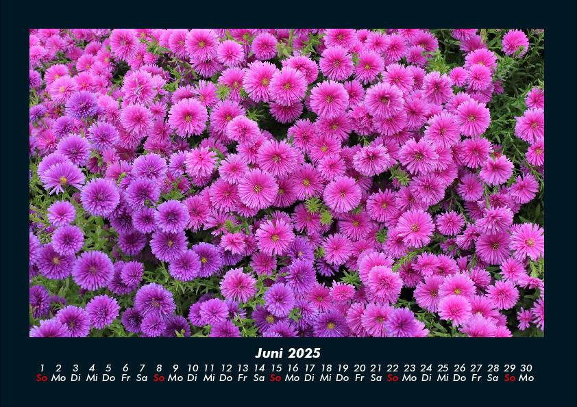 Weitere Ansicht: Blumenzauber 2025 Fotokalender DIN A4 | Tobias Becker