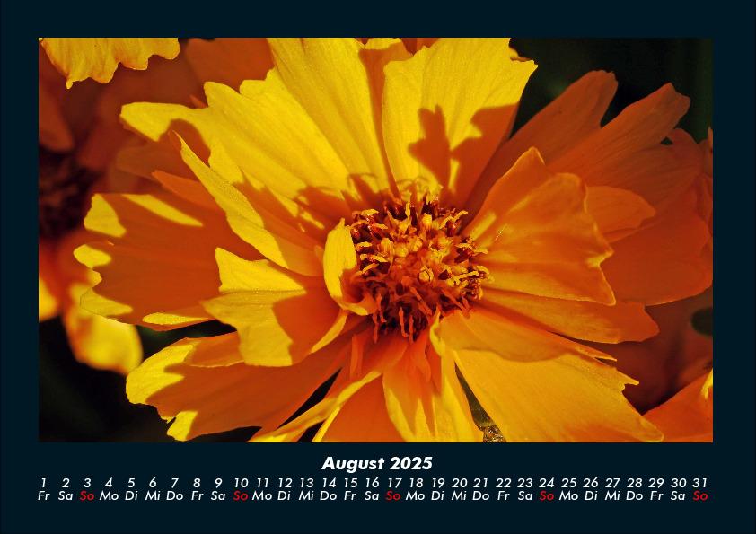 Weitere Ansicht: Blumenzauber 2025 Fotokalender DIN A4 | Tobias Becker