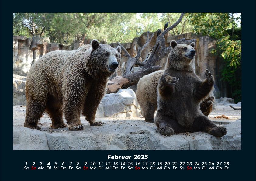 Weitere Ansicht: Der Tierkalender 2025 Fotokalender DIN A4 | Tobias Becker