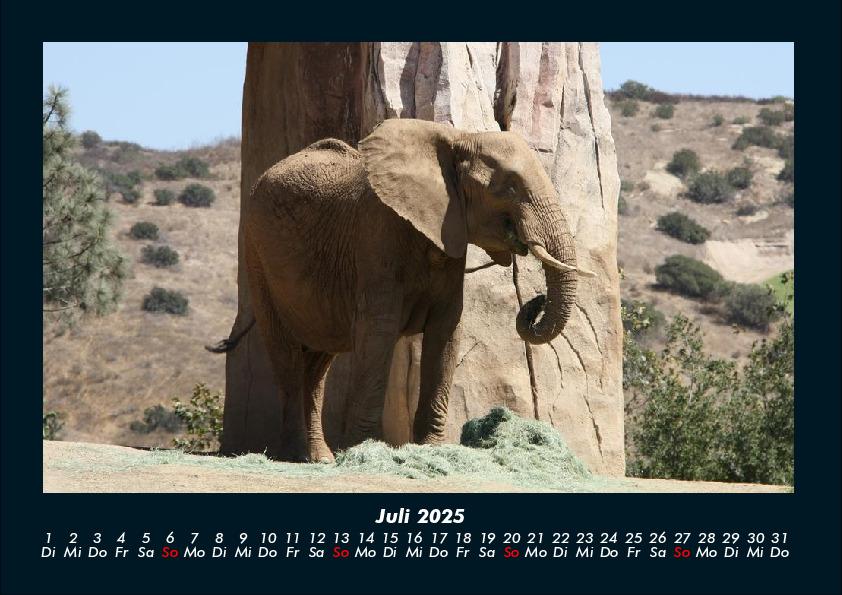 Weitere Ansicht: Der Tierkalender 2025 Fotokalender DIN A4 | Tobias Becker