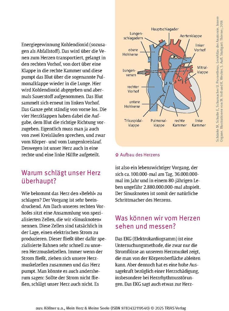 Weitere Ansicht: Mein Herz & Meine Seele | Volker Köllner, Eike Langheim, Judit Kleinschmidt