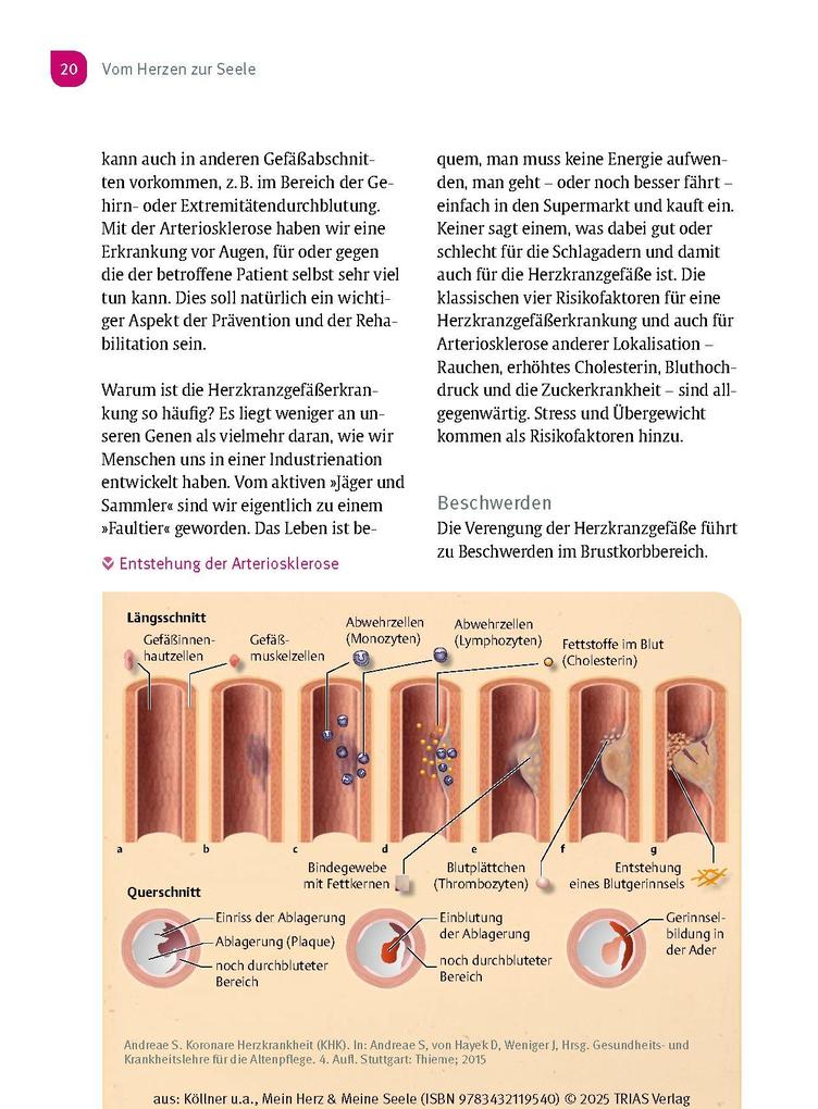 Weitere Ansicht: Mein Herz & Meine Seele | Volker Köllner, Eike Langheim, Judit Kleinschmidt