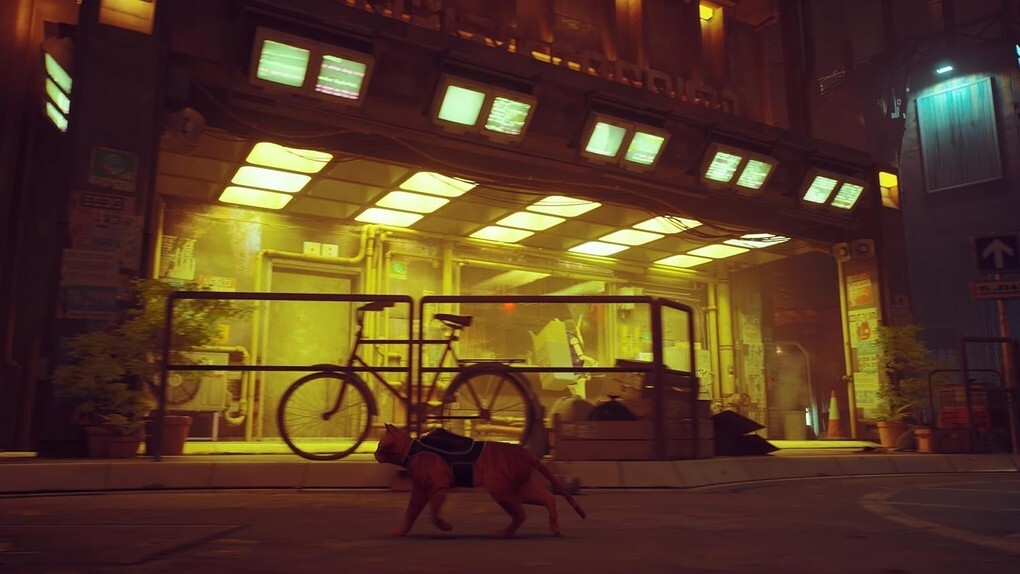 Weitere Ansicht: Stray (Nintendo Switch)