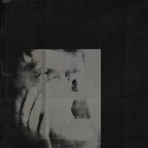 Produktbild: Never Exhale | Ditz