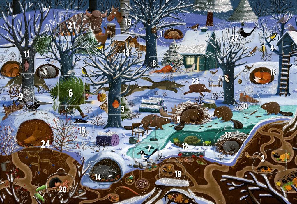 Produktbild: Adventskalender - Winter im Wald | Wandkalender