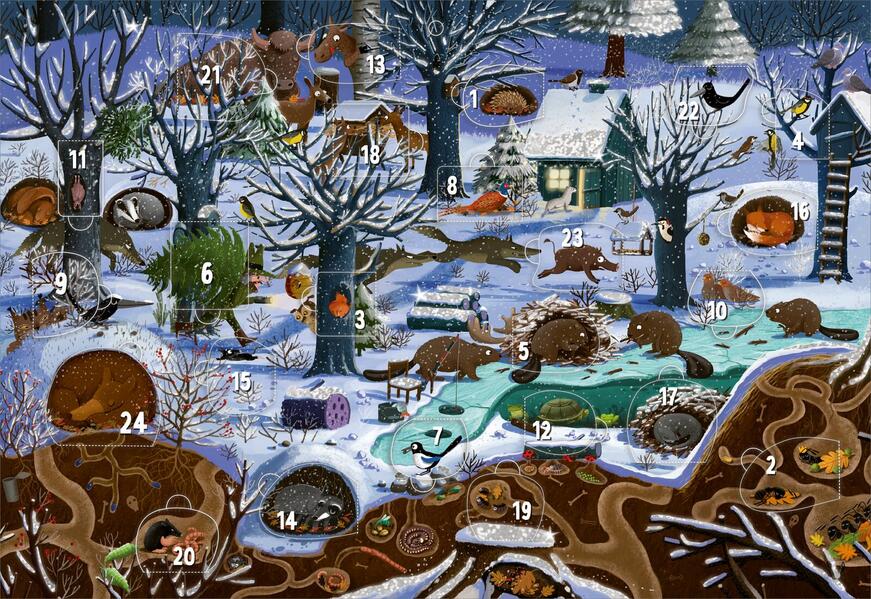 Produktbild: Adventskalender - Winter im Wald | Wandkalender