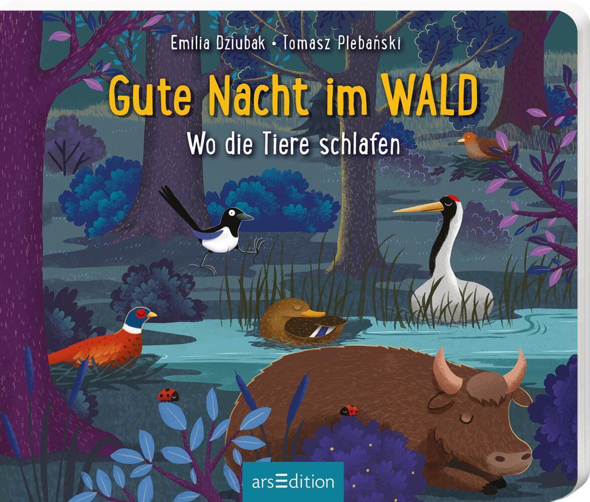 Produktbild: Gute Nacht im Wald