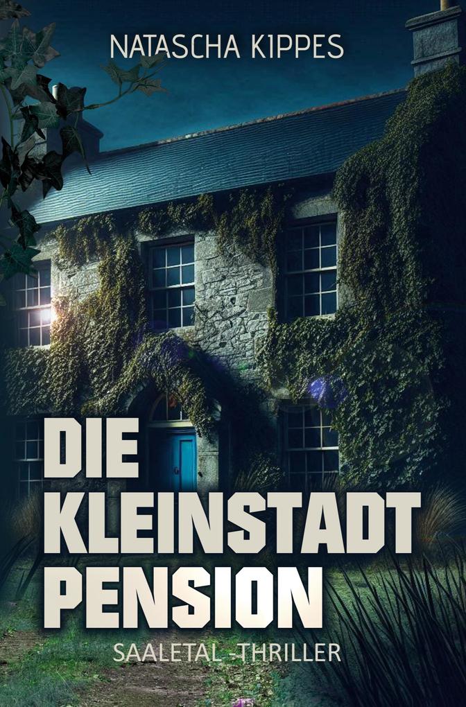Produktbild: Die Kleinstadtpension | Natascha Kippes