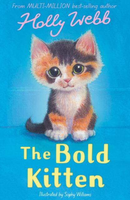 Produktbild: The Bold Kitten | Holly Webb