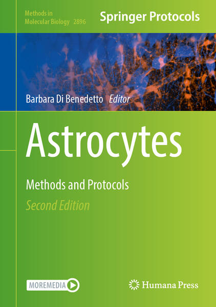 Produktbild: Astrocytes