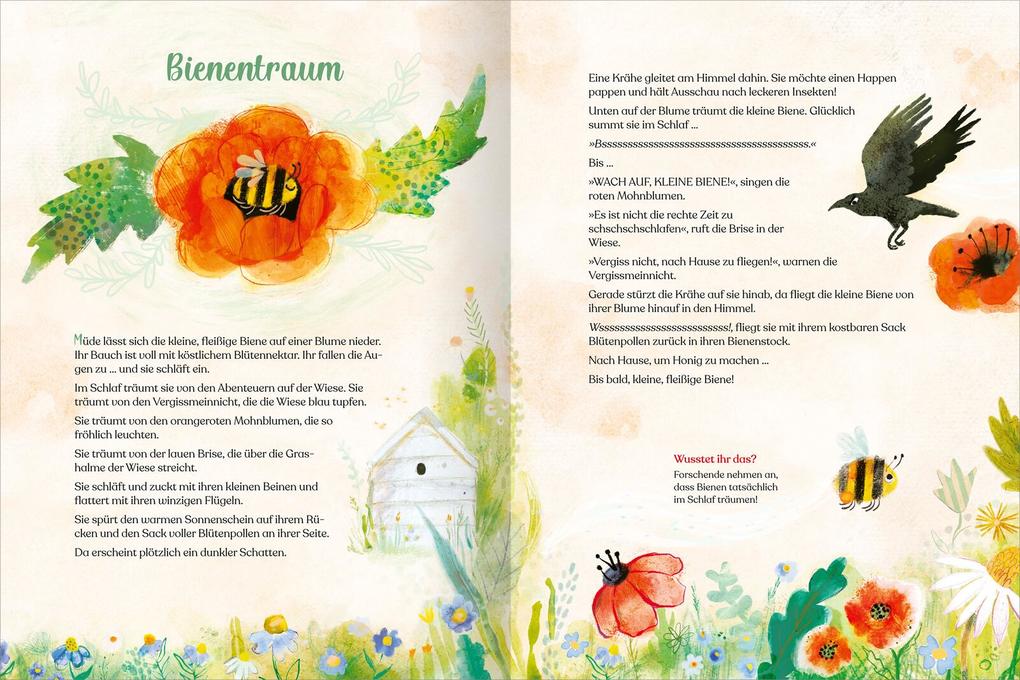 Weitere Ansicht: Geschichtenschatz für 4-Jährige | Gabby Dawnay