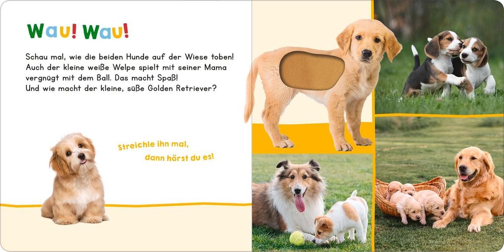 Weitere Ansicht: Hör mal rein, wer kann das sein? - Meine ersten Tiere