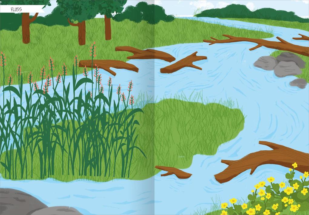 Weitere Ansicht: Naturforscher-Kids - Stickerheft Heimische Tierwelt
