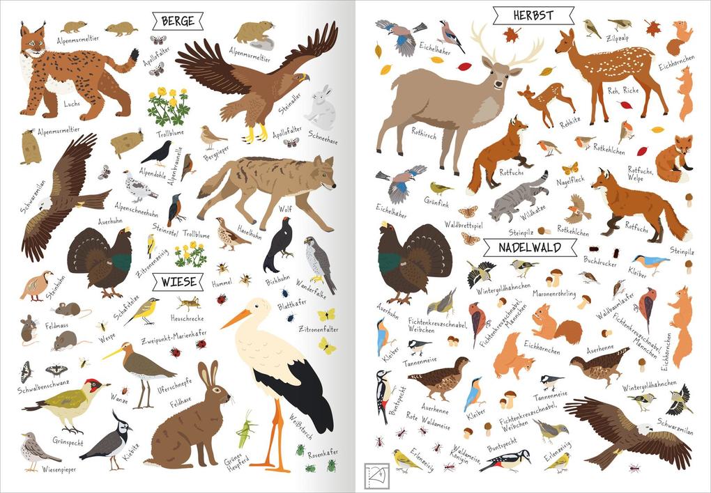 Weitere Ansicht: Naturforscher-Kids - Stickerheft Heimische Tierwelt