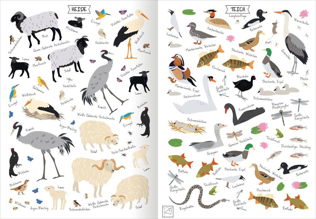 Weitere Ansicht: Naturforscher-Kids - Stickerheft Heimische Tierwelt