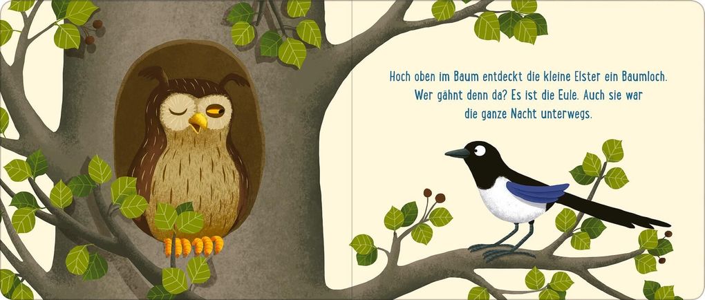 Weitere Ansicht: Gute Nacht im Wald