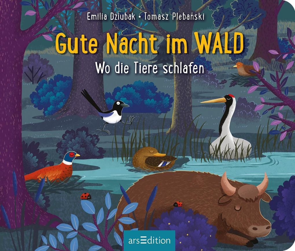Weitere Ansicht: Gute Nacht im Wald