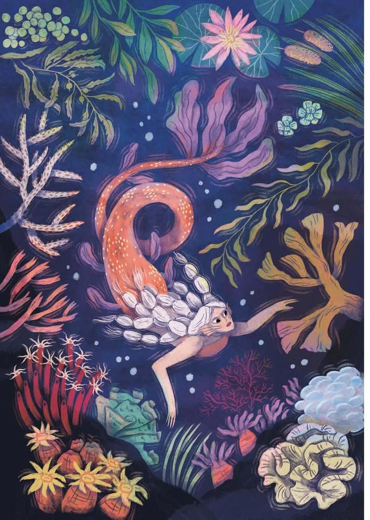 Weitere Ansicht: How to Spot a Mermaid | Sarah Glenn Marsh