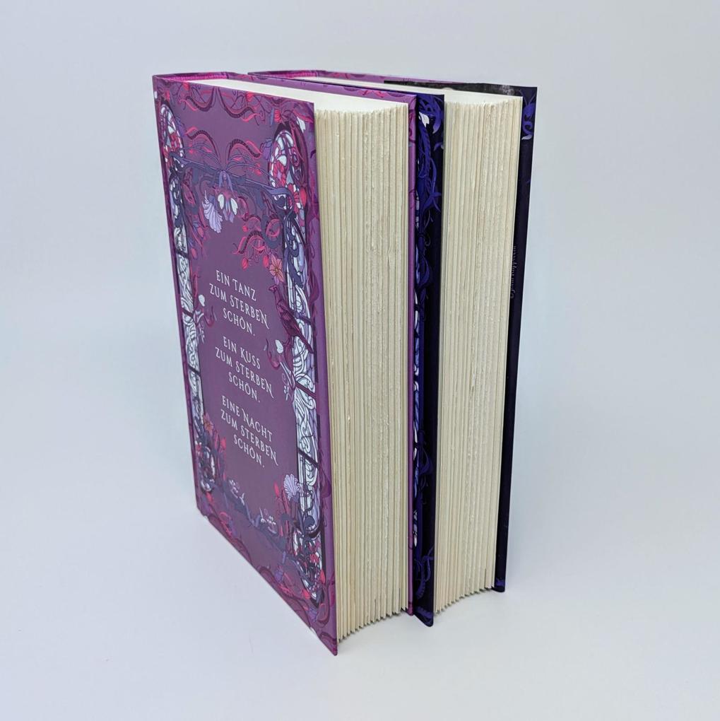 Weitere Ansicht: Glory of Broken Dreams | Ruby Braun