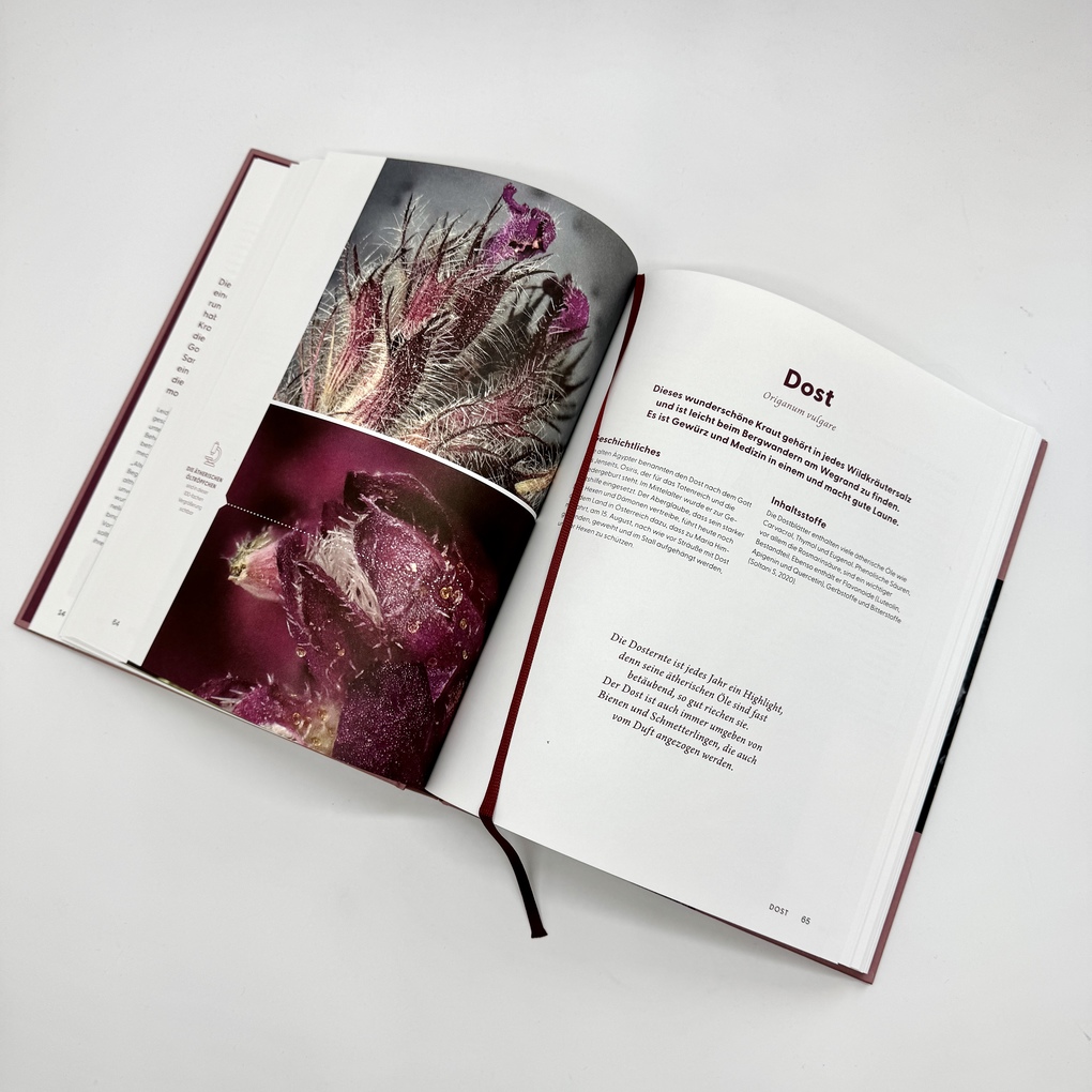 Weitere Ansicht: Wie Wildkräuter wirken | Renée Schroeder