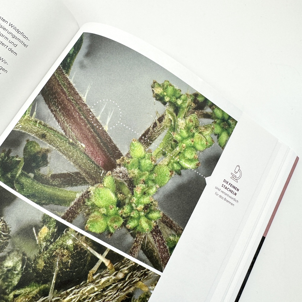 Weitere Ansicht: Wie Wildkräuter wirken | Renée Schroeder