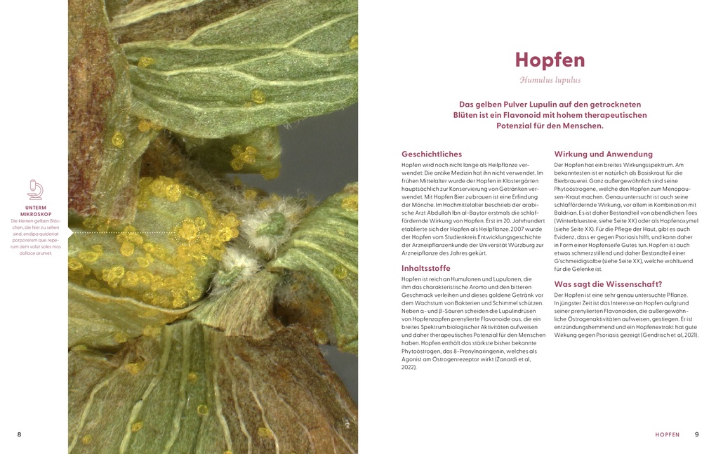 Weitere Ansicht: Wie Wildkräuter wirken | Renée Schroeder