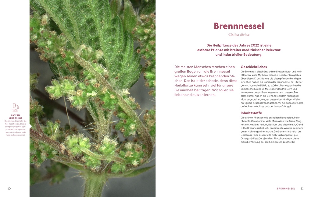 Weitere Ansicht: Wie Wildkräuter wirken | Renée Schroeder