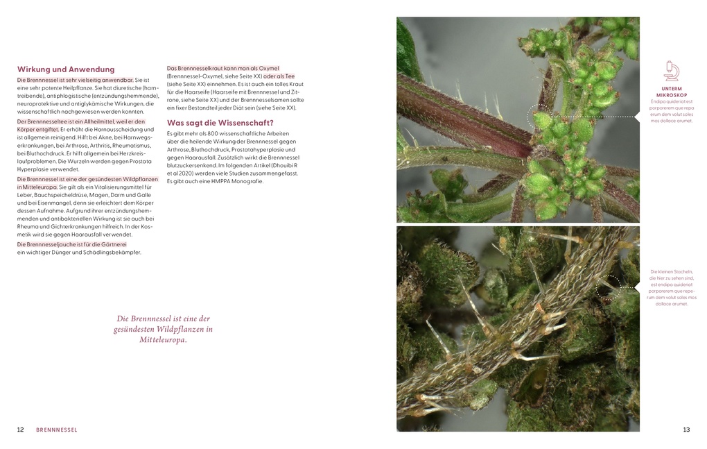 Weitere Ansicht: Wie Wildkräuter wirken | Renée Schroeder