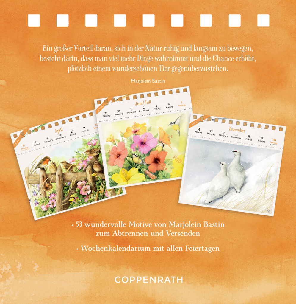 Weitere Ansicht: Kalender mit 53 Postkarten
