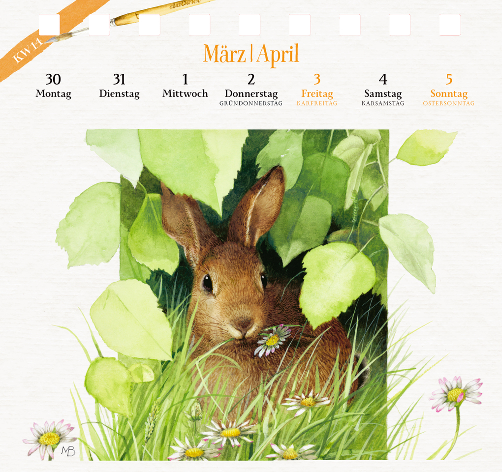 Weitere Ansicht: Kalender mit 53 Postkarten