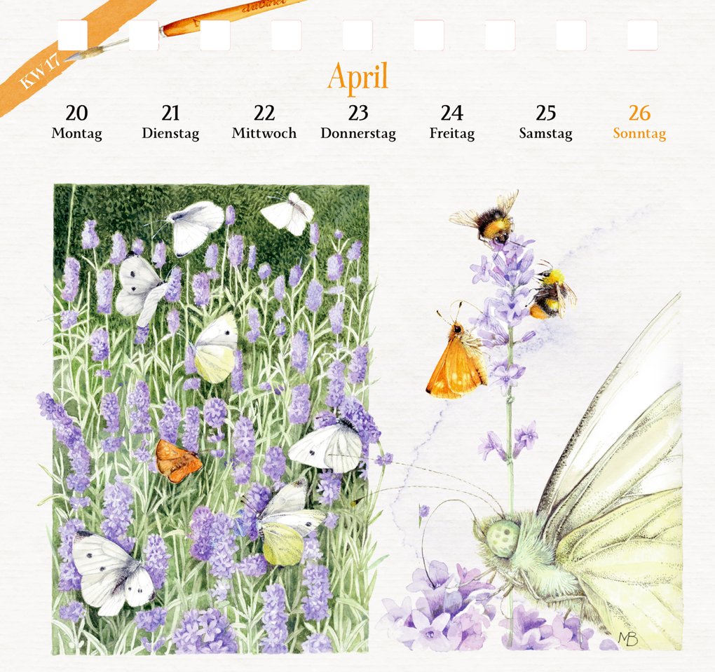 Weitere Ansicht: Kalender mit 53 Postkarten