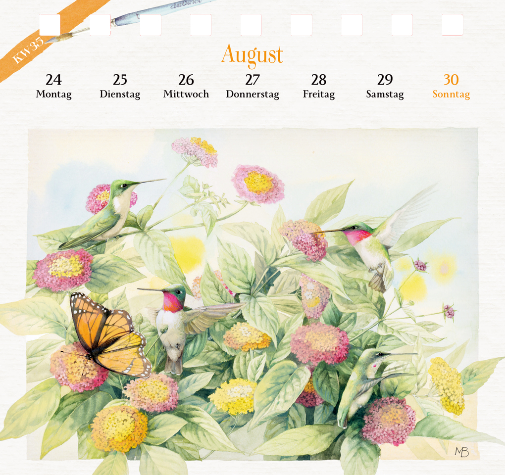 Weitere Ansicht: Kalender mit 53 Postkarten