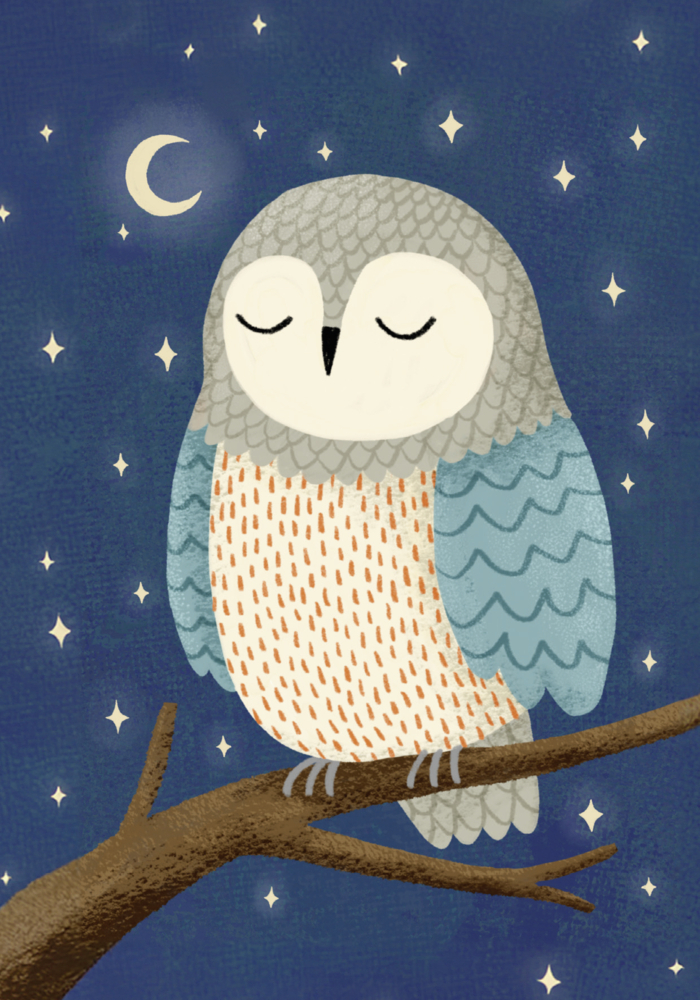 Weitere Ansicht: Buchkalender 2026: Lebe wild und voller Wunder