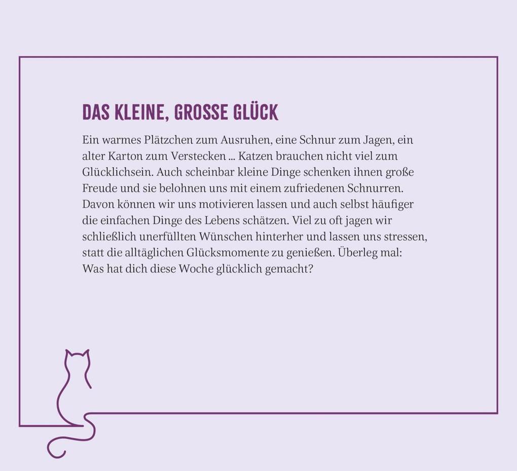 Weitere Ansicht: Wochenkalender 2026: Kluge Katzen