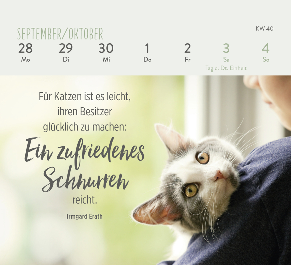 Weitere Ansicht: Mini-Wochenkalender 2026: Für Katzenfreunde