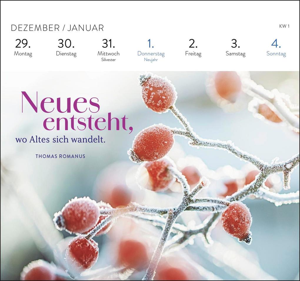 Weitere Ansicht: Postkartenkalender 2026: Die schönsten Weisheiten für jeden Tag