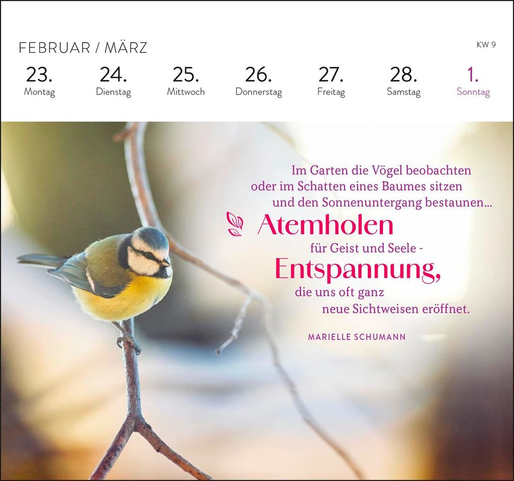 Weitere Ansicht: Postkartenkalender 2026: Die schönsten Weisheiten für jeden Tag