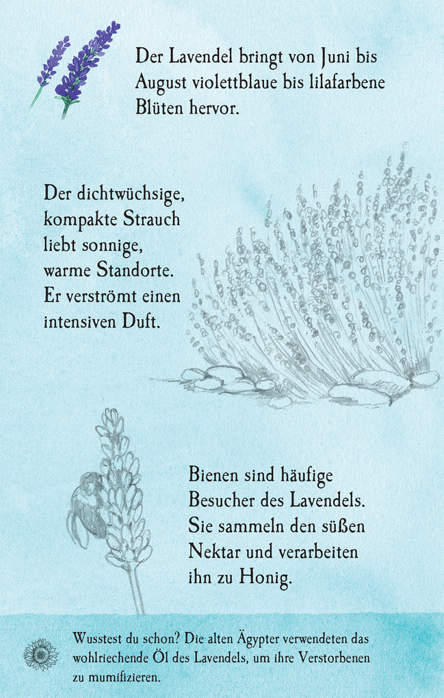 Weitere Ansicht: Natur-Entdecker-Karten: Unsere heimischen Blumen