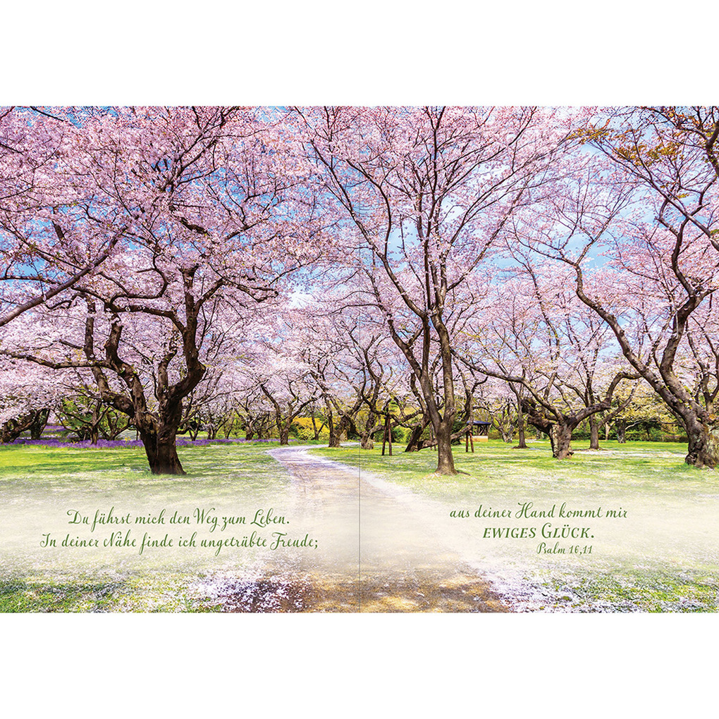 Weitere Ansicht: Sei beschützt und geborgen